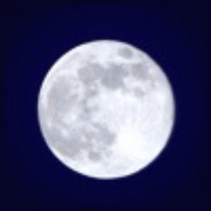 Meet your Posher, Jessie